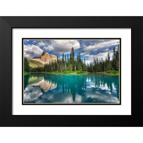 Emerald ... Black Modern Wood Framed Art Print with Double Matting by Dujic Lighthunter, Zoran