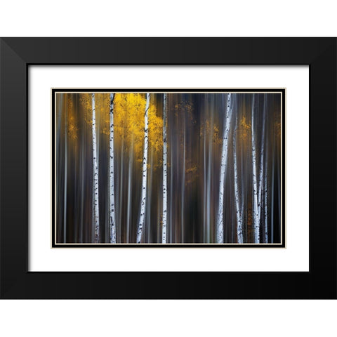 Curtain Of Fall Black Modern Wood Framed Art Print with Double Matting by Hu, Andy