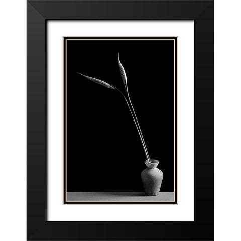 Double Black Modern Wood Framed Art Print with Double Matting by Oveckova, Kristina
