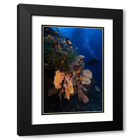 Diving Black Modern Wood Framed Art Print with Double Matting by Gabriel, Barathieu