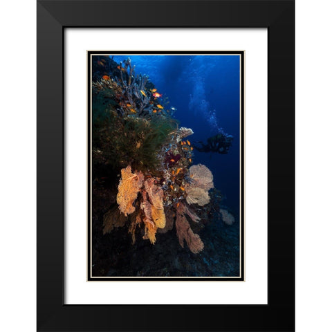Diving Black Modern Wood Framed Art Print with Double Matting by Gabriel, Barathieu