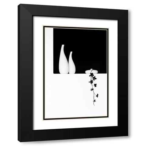 Ivy Black Modern Wood Framed Art Print with Double Matting by Oveckova, Kristina