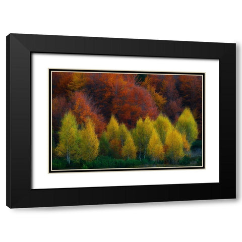 Nimbrethil Black Modern Wood Framed Art Print with Double Matting by Zsolt Andras, Szabo