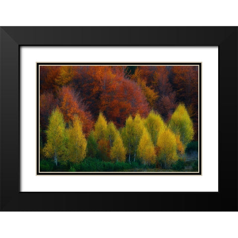 Nimbrethil Black Modern Wood Framed Art Print with Double Matting by Zsolt Andras, Szabo