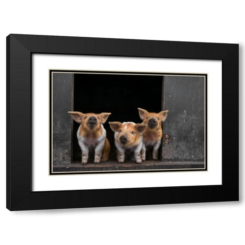 3 Black Modern Wood Framed Art Print with Double Matting by Van Den, Gert