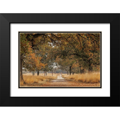 Lane Black Modern Wood Framed Art Print with Double Matting by Van Den, Jaap