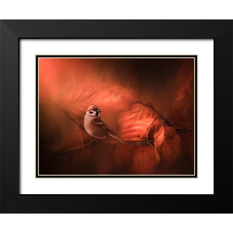 Summers End Black Modern Wood Framed Art Print with Double Matting by Lennartsson, Johan