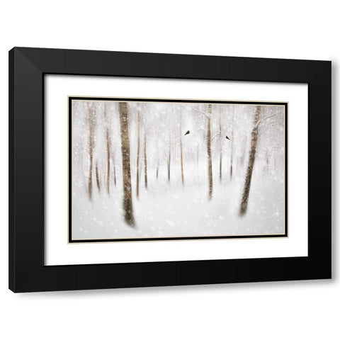 Winter Birches Black Modern Wood Framed Art Print with Double Matting by Davidsson, Gustav