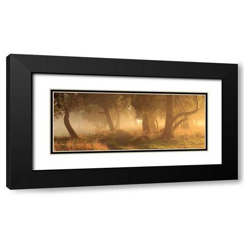 Morning Mist Black Modern Wood Framed Art Print with Double Matting by Smith, Garth