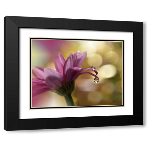 Song Of My Soul... Black Modern Wood Framed Art Print with Double Matting by Nan, Juliana