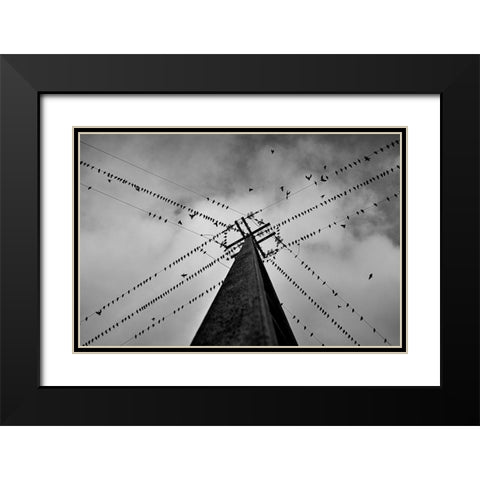 Wired Black Modern Wood Framed Art Print with Double Matting by Caria, Rui