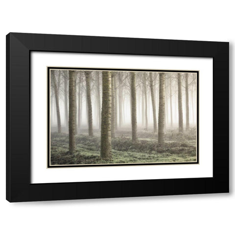 Small Woodland Black Modern Wood Framed Art Print with Double Matting by Carozzi, Fiorenzo