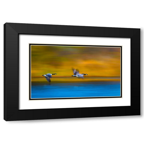 Mom-Dad-Wait For Me! Black Modern Wood Framed Art Print with Double Matting by Wang, Kevin