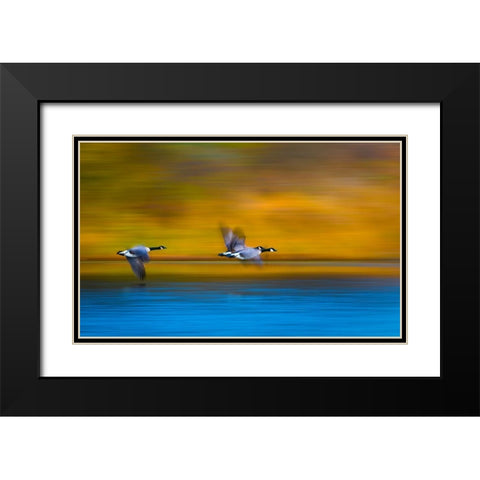 Mom-Dad-Wait For Me! Black Modern Wood Framed Art Print with Double Matting by Wang, Kevin