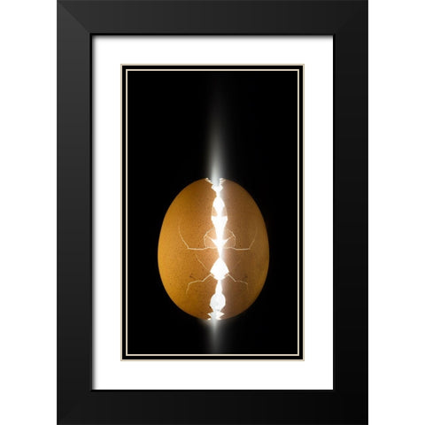 Alien Egg Black Modern Wood Framed Art Print with Double Matting by De Kogel, Wieteke