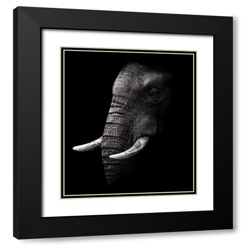 Portrait Black Modern Wood Framed Art Print with Double Matting by Wildphotoart