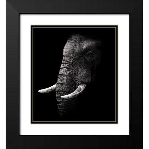 Portrait Black Modern Wood Framed Art Print with Double Matting by Wildphotoart
