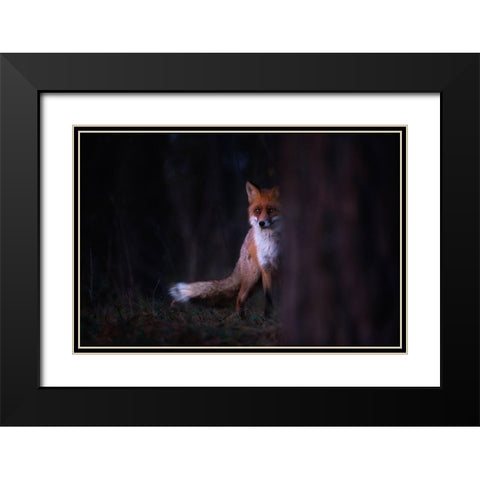 Glances Black Modern Wood Framed Art Print with Double Matting by Mastahac, Sebastian