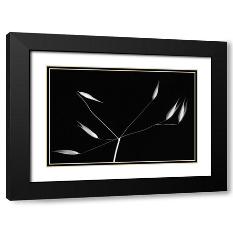 Light And Simplicity Black Modern Wood Framed Art Print with Double Matting by Azevedo, Olavo
