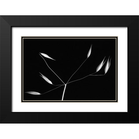 Light And Simplicity Black Modern Wood Framed Art Print with Double Matting by Azevedo, Olavo