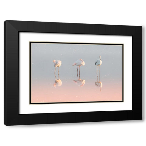 Three Flamingos ... Black Modern Wood Framed Art Print with Double Matting by Rublina, Natalia