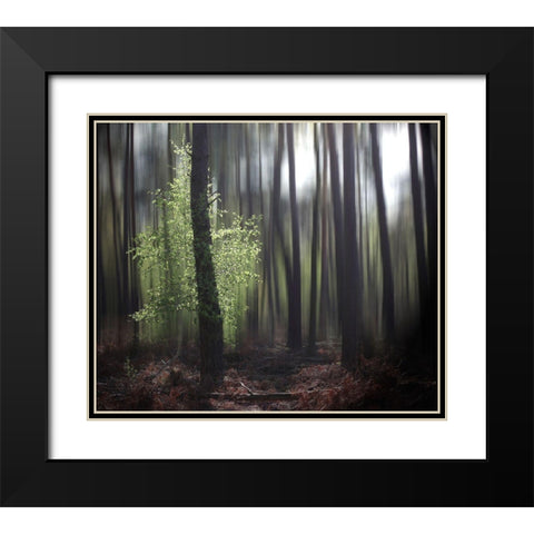 Spring Forest Black Modern Wood Framed Art Print with Double Matting by Cseresnjes, Anna