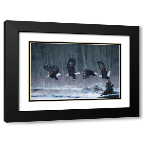 Ready-Go! Black Modern Wood Framed Art Print with Double Matting by Uota, Katsu