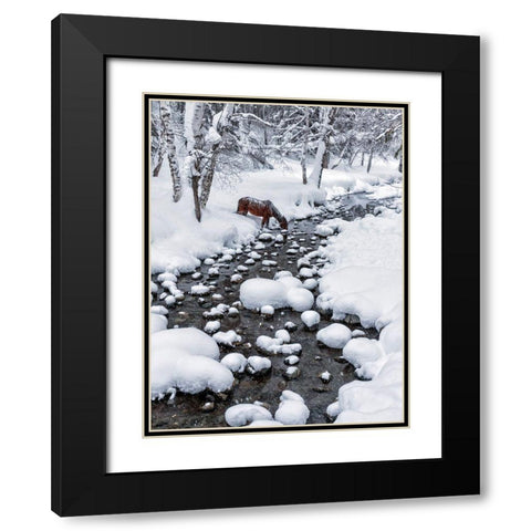 Drinking In Snow Black Modern Wood Framed Art Print with Double Matting by Zhu, Hua