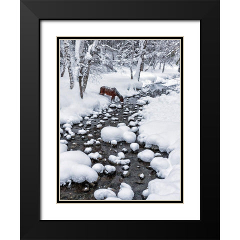 Drinking In Snow Black Modern Wood Framed Art Print with Double Matting by Zhu, Hua
