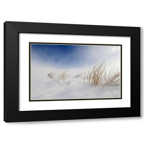 Sunny Snowstorm Black Modern Wood Framed Art Print with Double Matting by Tonti, Carlo