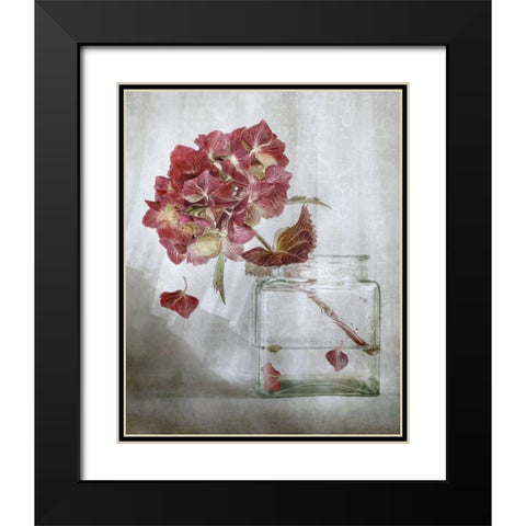 Hydrangea Black Modern Wood Framed Art Print with Double Matting by Disher, Mandy