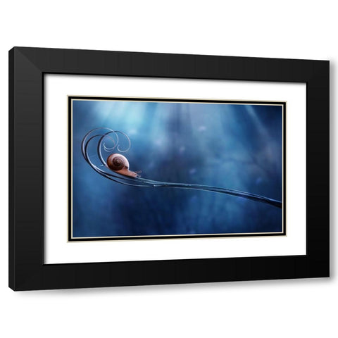 Beautifull Snail Black Modern Wood Framed Art Print with Double Matting by Almustaqim, Dede
