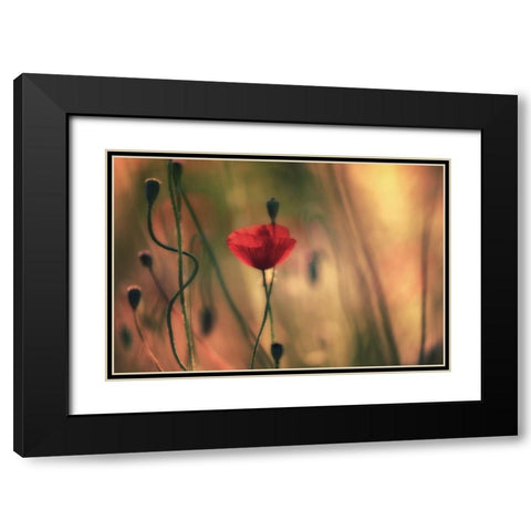 Untitled Black Modern Wood Framed Art Print with Double Matting by Or, Keren