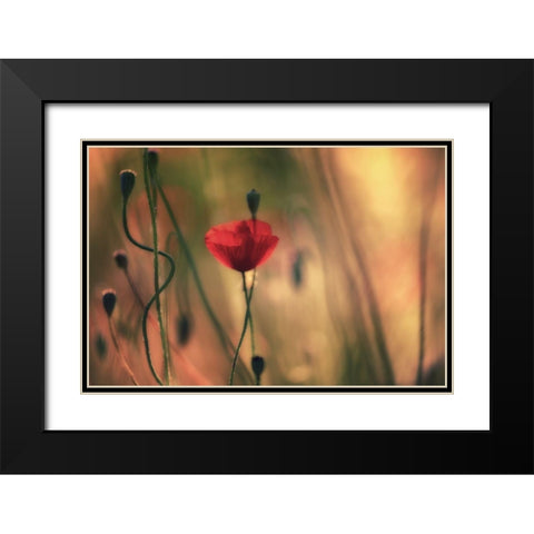 Untitled Black Modern Wood Framed Art Print with Double Matting by Or, Keren