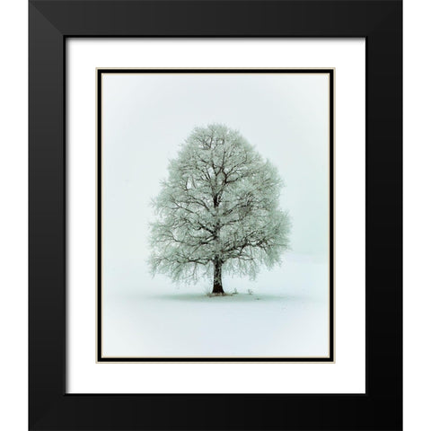 Nimloth Black Modern Wood Framed Art Print with Double Matting by Hieke, Heinz