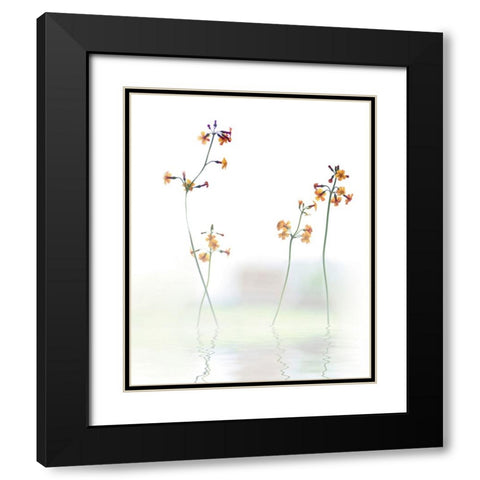 Petite Fleur .... Black Modern Wood Framed Art Print with Double Matting by Cseresnjes, Anna