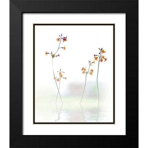 Petite Fleur .... Black Modern Wood Framed Art Print with Double Matting by Cseresnjes, Anna