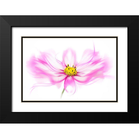 Breeze Black Modern Wood Framed Art Print with Double Matting by Parker, Jacky