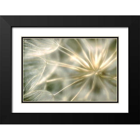 Coeur De Velour ... Black Modern Wood Framed Art Print with Double Matting by Cseresnjes, Anna