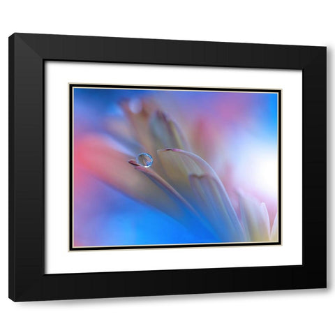 Touch Me Softly... Black Modern Wood Framed Art Print with Double Matting by Nan, Juliana