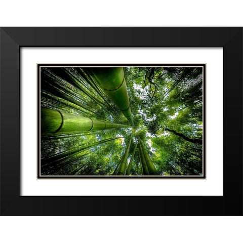 Arashiyama Black Modern Wood Framed Art Print with Double Matting by Ros, David