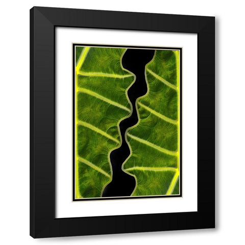 Balance Black Modern Wood Framed Art Print with Double Matting by Memensaputra