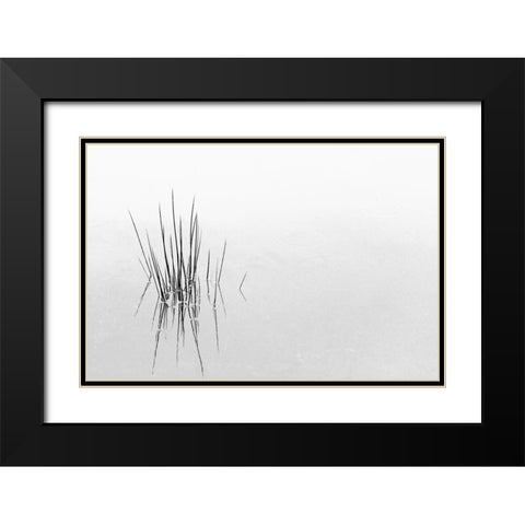 Reflections Black Modern Wood Framed Art Print with Double Matting by Azevedo, Olavo