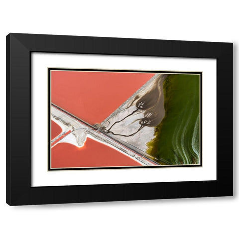 Natures Painting Black Modern Wood Framed Art Print with Double Matting by Macua, Gerald