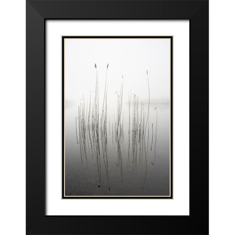 Silence Black Modern Wood Framed Art Print with Double Matting by Ahern, David