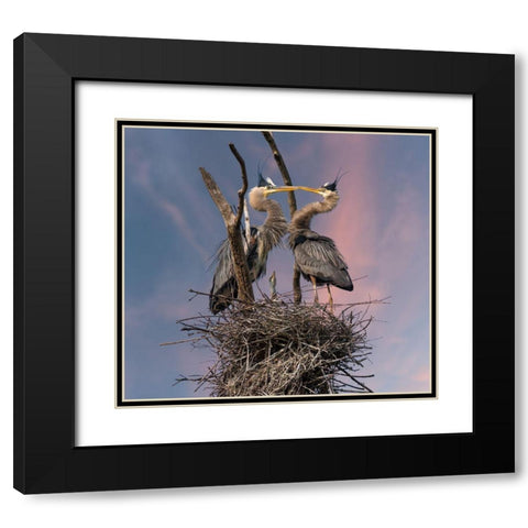 Happy Family Trio Black Modern Wood Framed Art Print with Double Matting by Wang, Kevin
