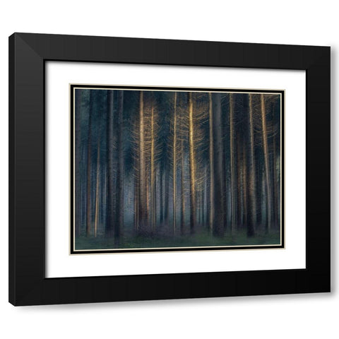 In The Afternoon Black Modern Wood Framed Art Print with Double Matting by Talen, Nel