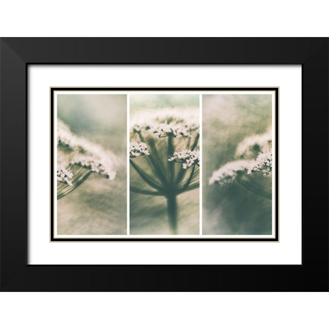 Memories Black Modern Wood Framed Art Print with Double Matting by Davidsson, Gustav