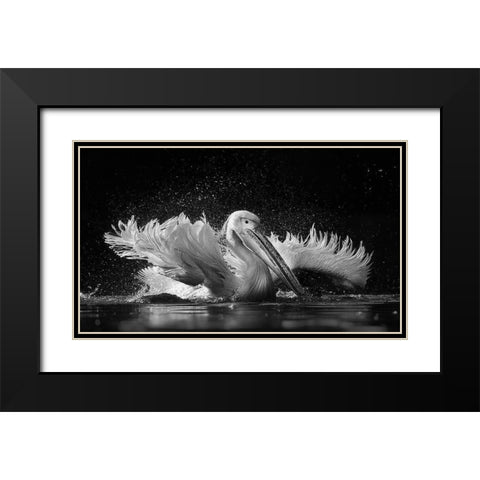 Refreshing Black Modern Wood Framed Art Print with Double Matting by Tjandra, C.S.