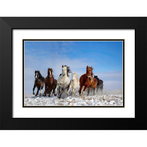 Mongolia Horses Black Modern Wood Framed Art Print with Double Matting by Zhang, Libby